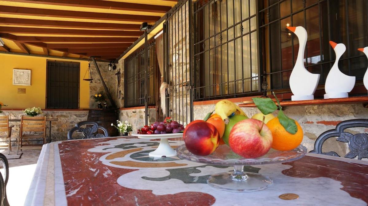 Casa Elia Tuscany- Lucca With Private Pool At Exclusive Use! San Martino in Freddana Exterior photo